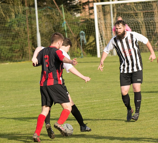 活应对未来 活应对未来