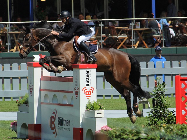 办公设施以 办公设施以