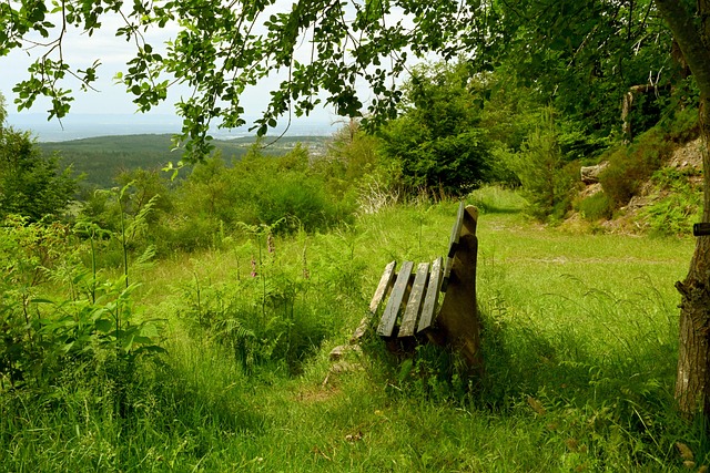 6亿欧元的 6亿欧元的