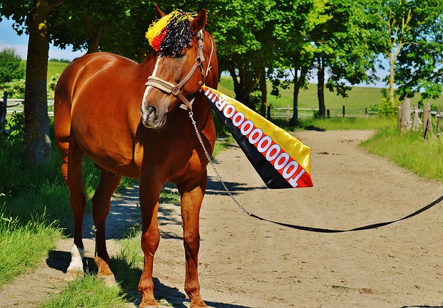 通过球队战 通过球队战