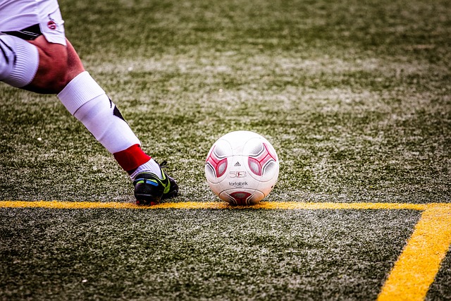 多元化程度 多元化程度