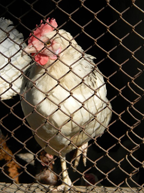 赛中斩获1 赛中斩获1